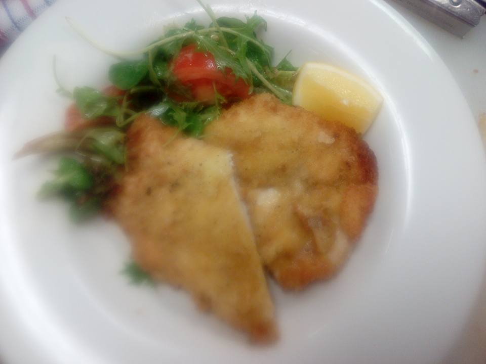DIY Chicken Schnitzel and Garden Salad